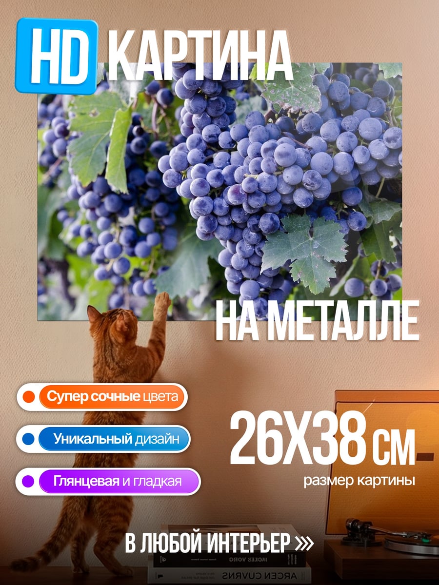 Картина на металле спелые гроздья винограда