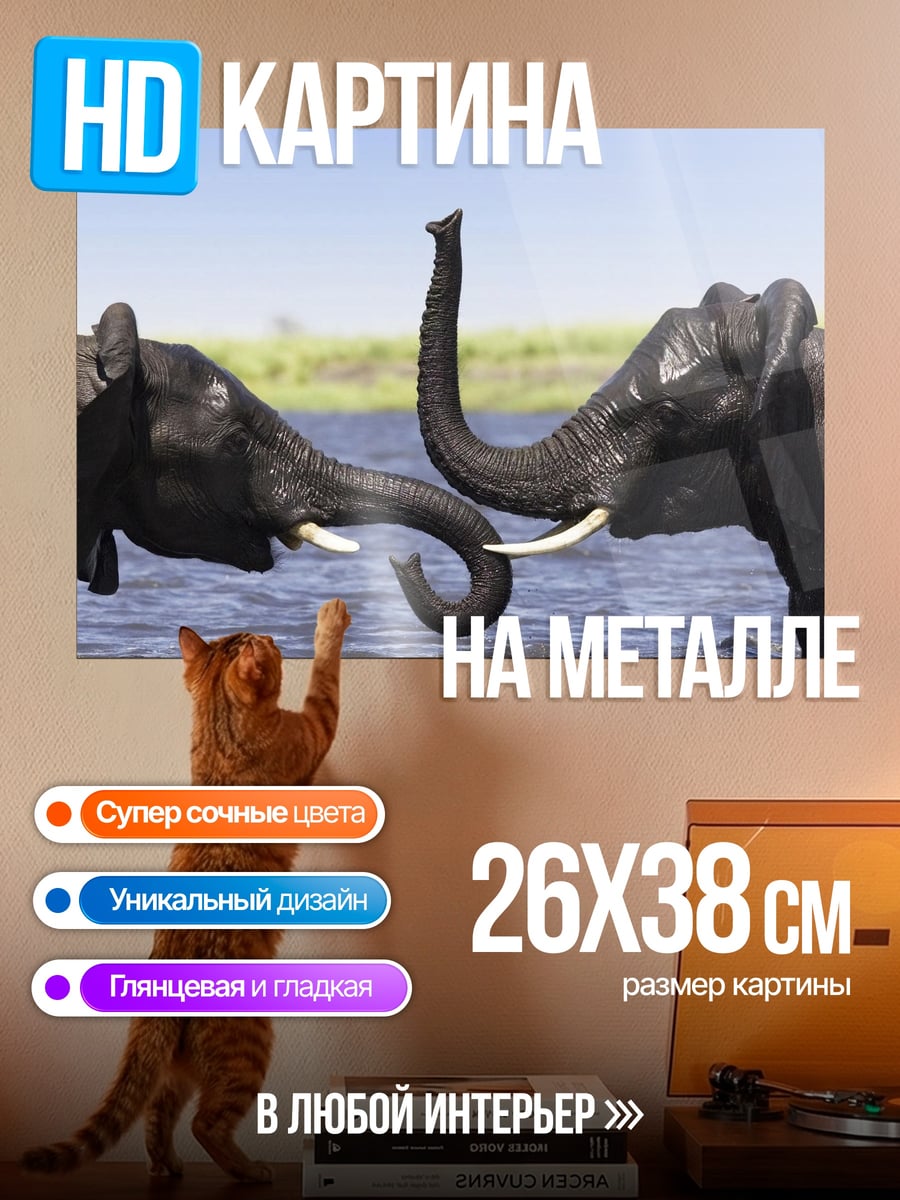 Картина на металле Слоны в воде