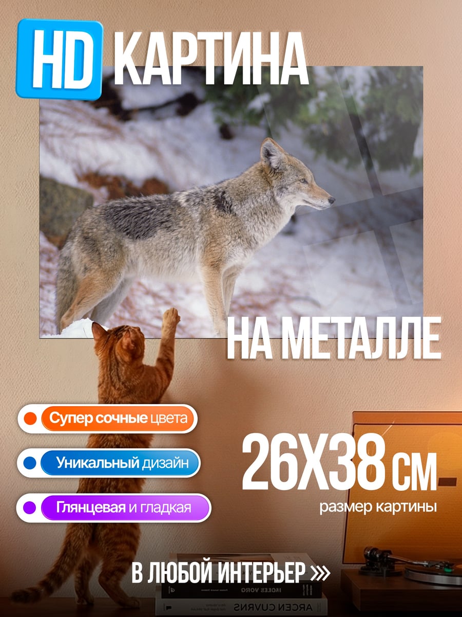 Картина на металле Лис в снегу