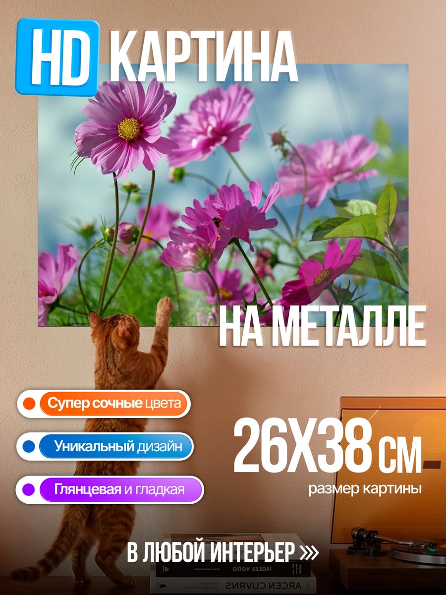 Картина на металле Розовые цветы космос