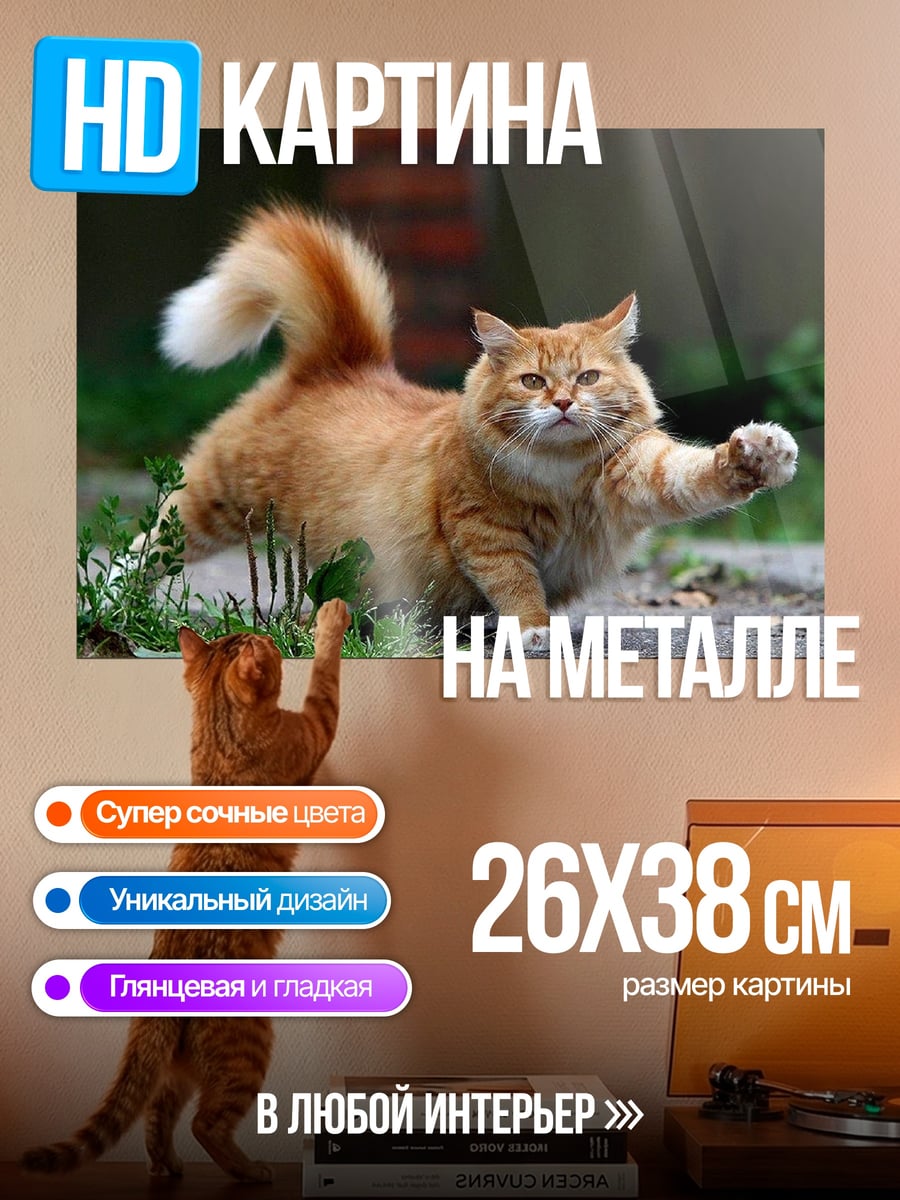 Картина на металле рыжий кот играет