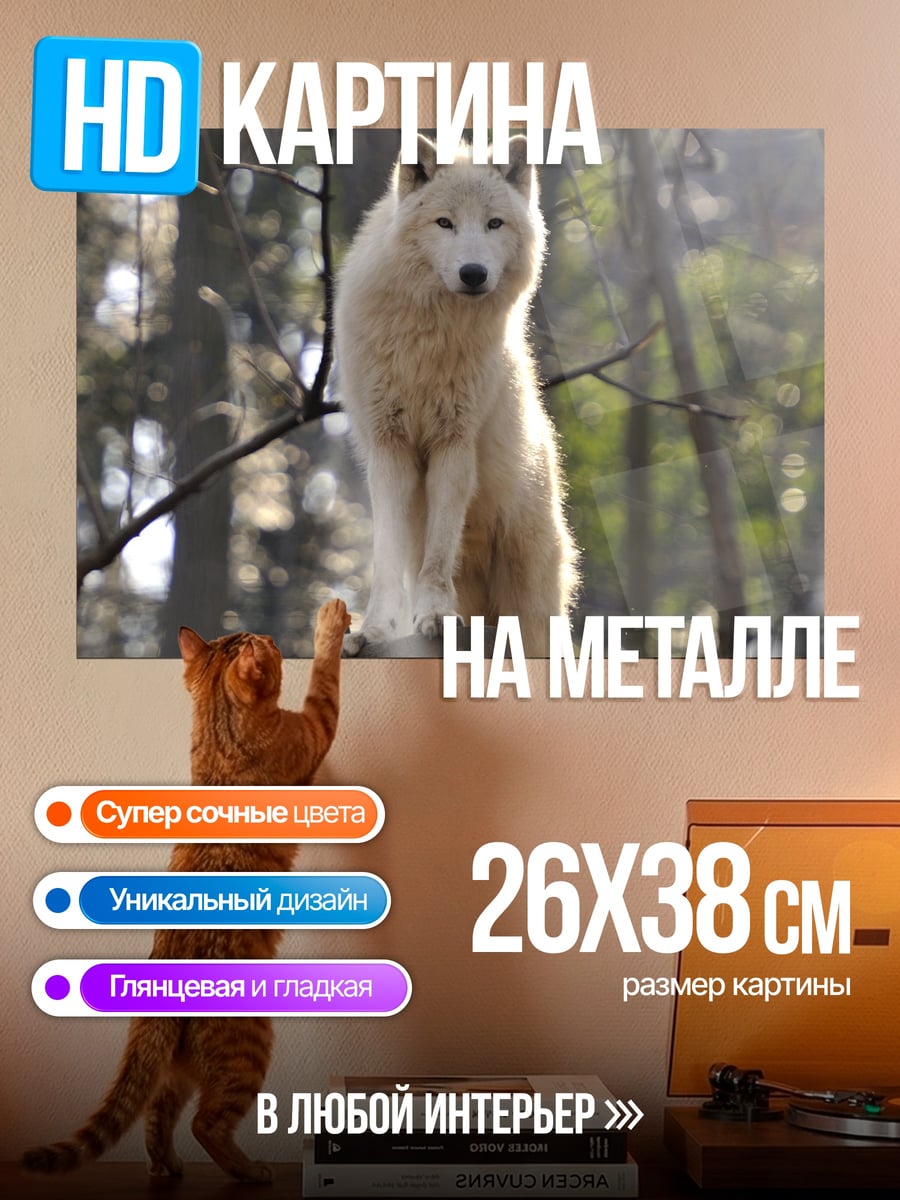 Картина на металле белый волк