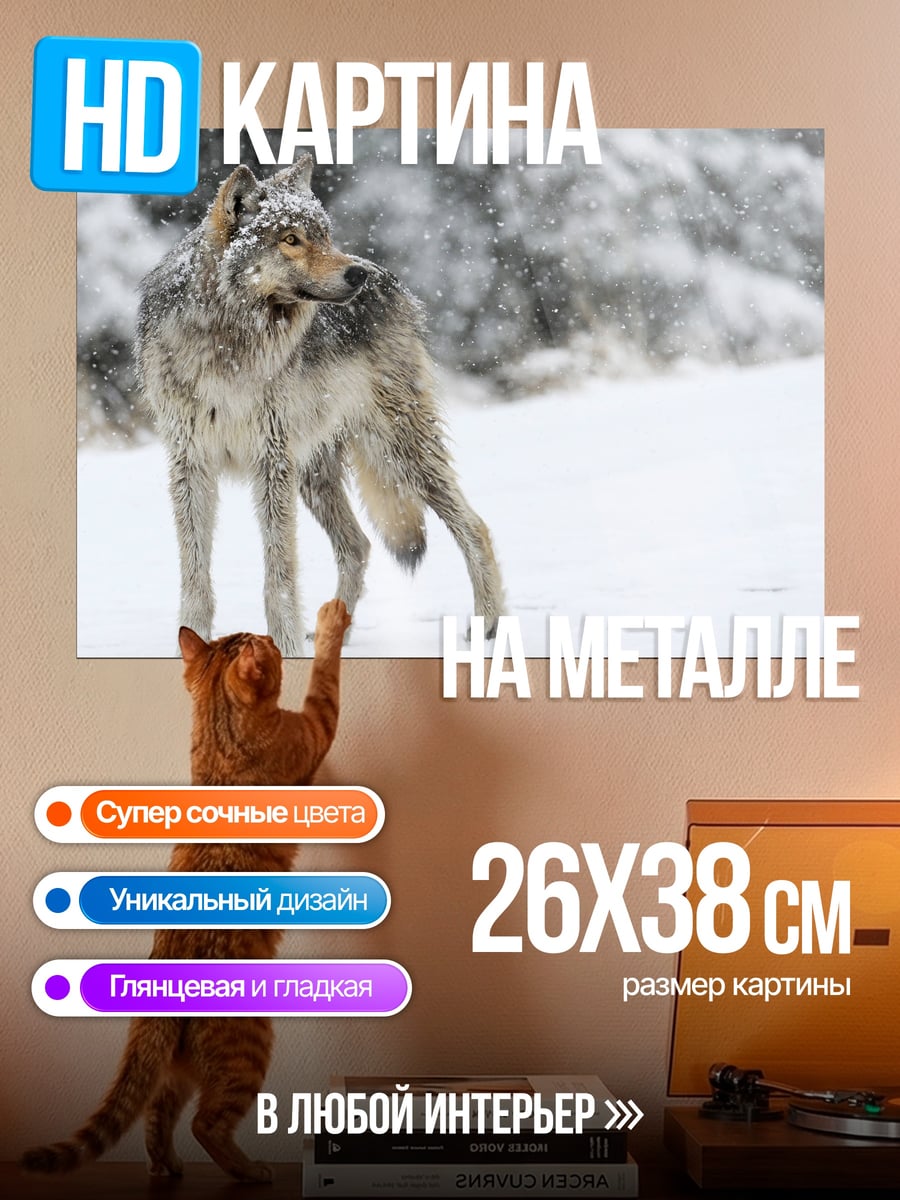 Картина на металле серый волк