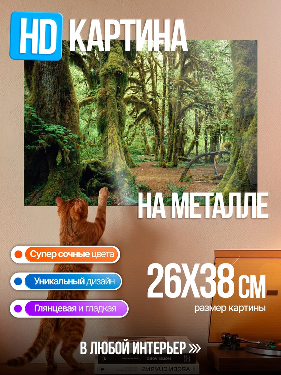 Картина на металле Заколдованный лес