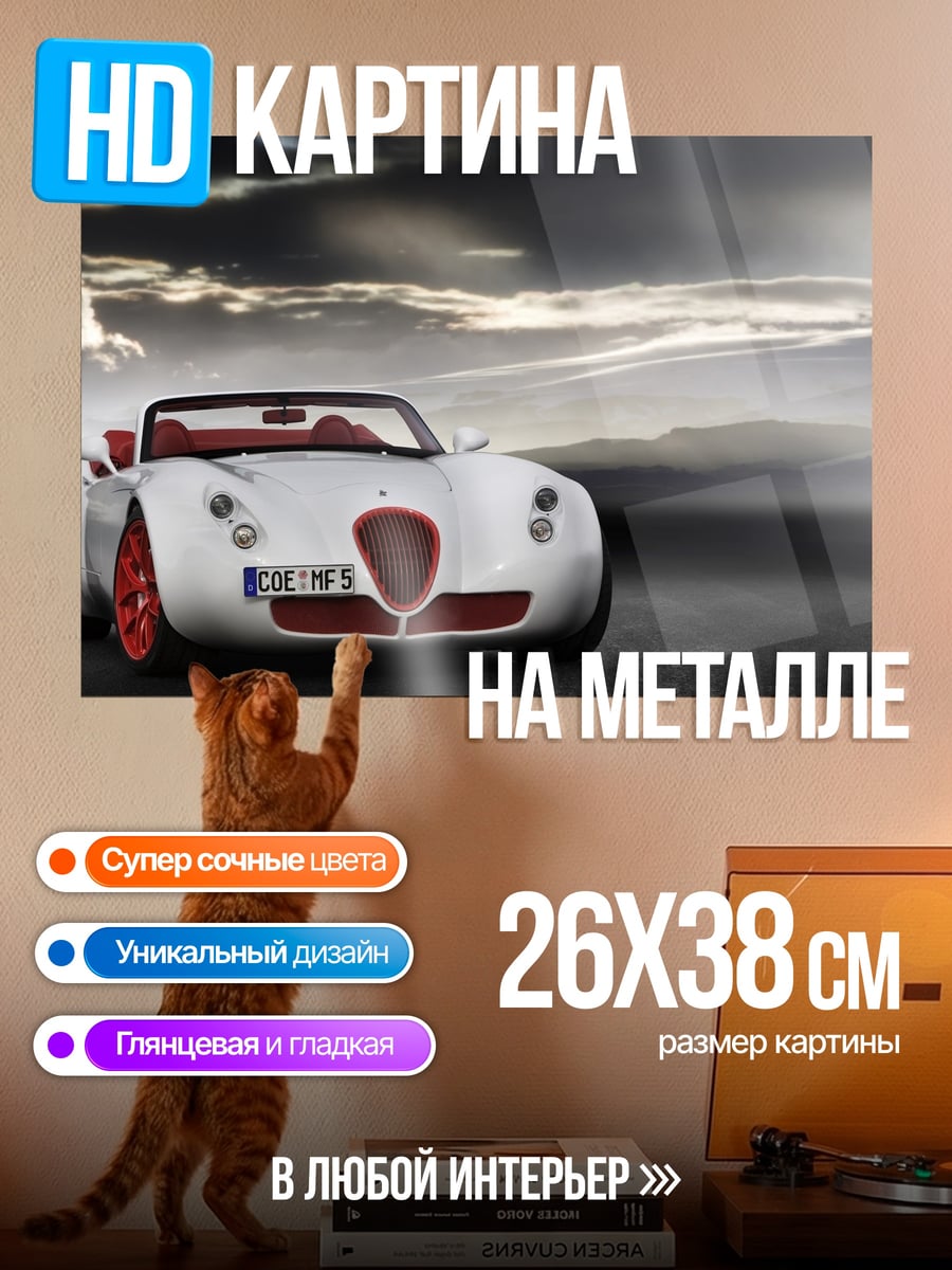 Картина на металле Белый родстер красный