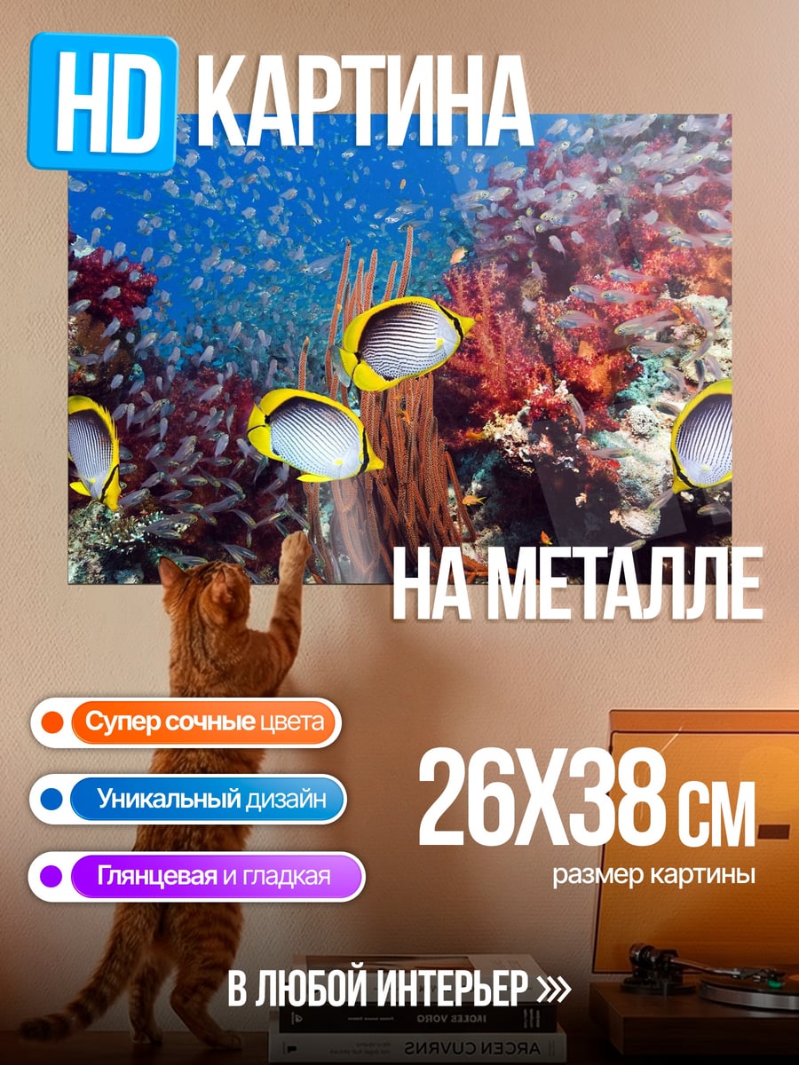 Картина на металле Рыбы коралловый риф