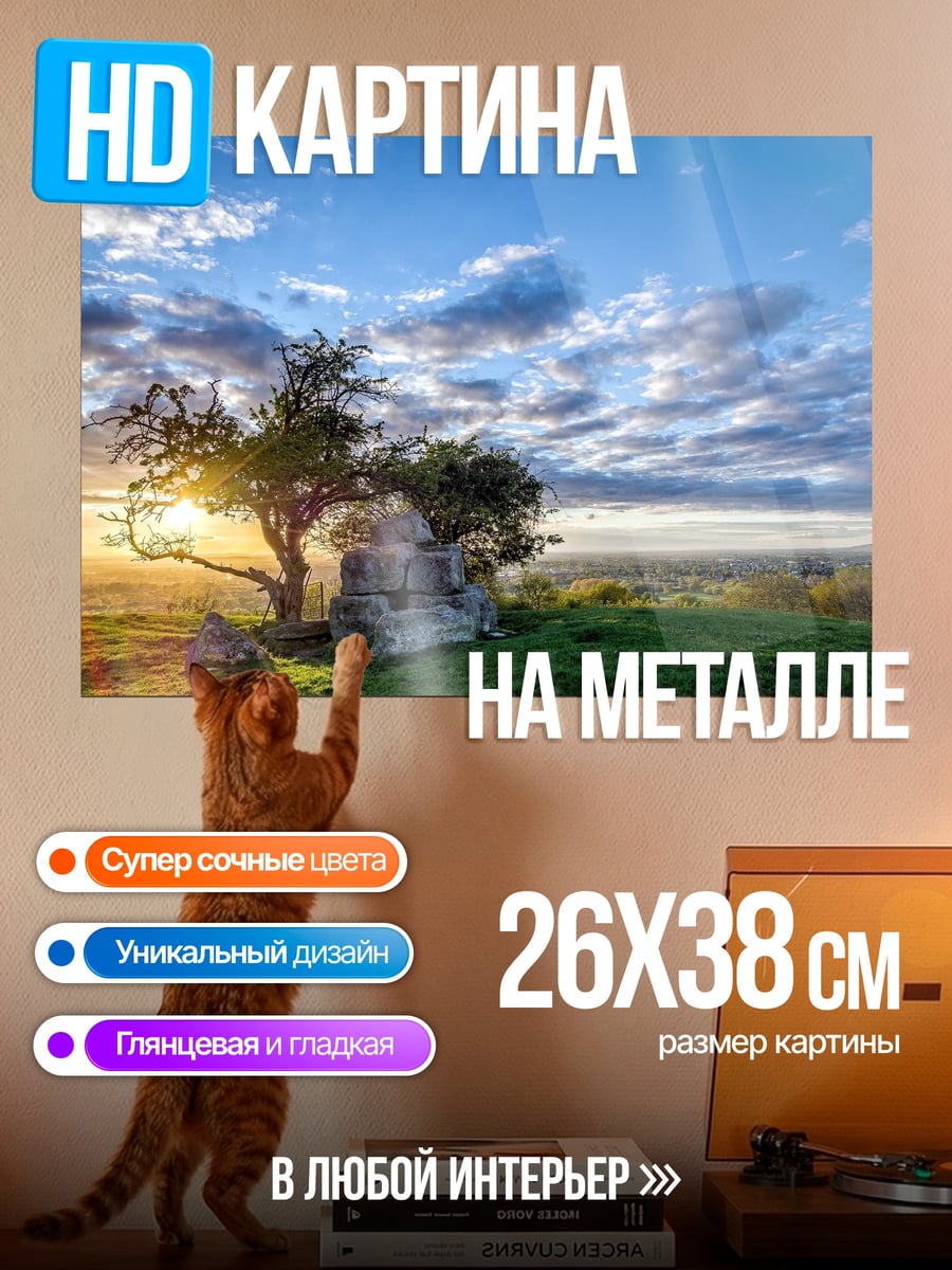 Картина на металле Рассвет в поле