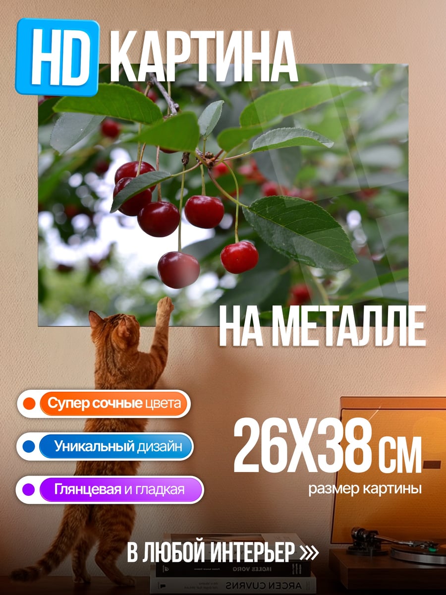 Картина на металле ветка вишни с ягодами