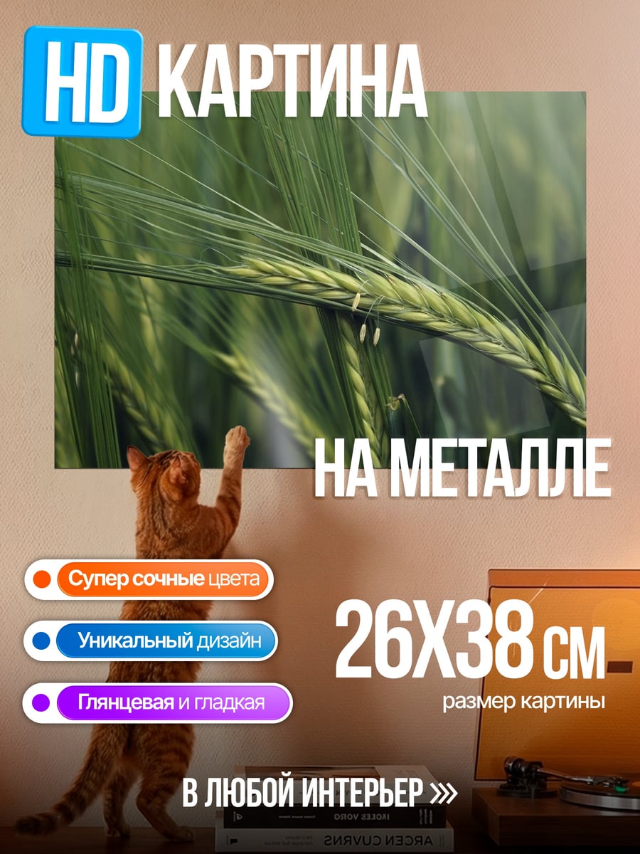 Картина на металле Колос пшеницы