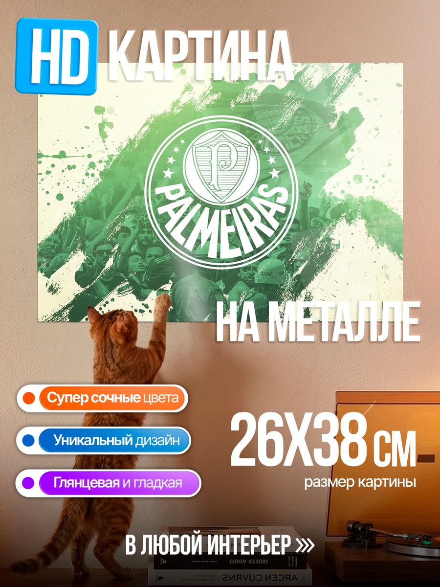 Картина на металле Логотип Палмейрас