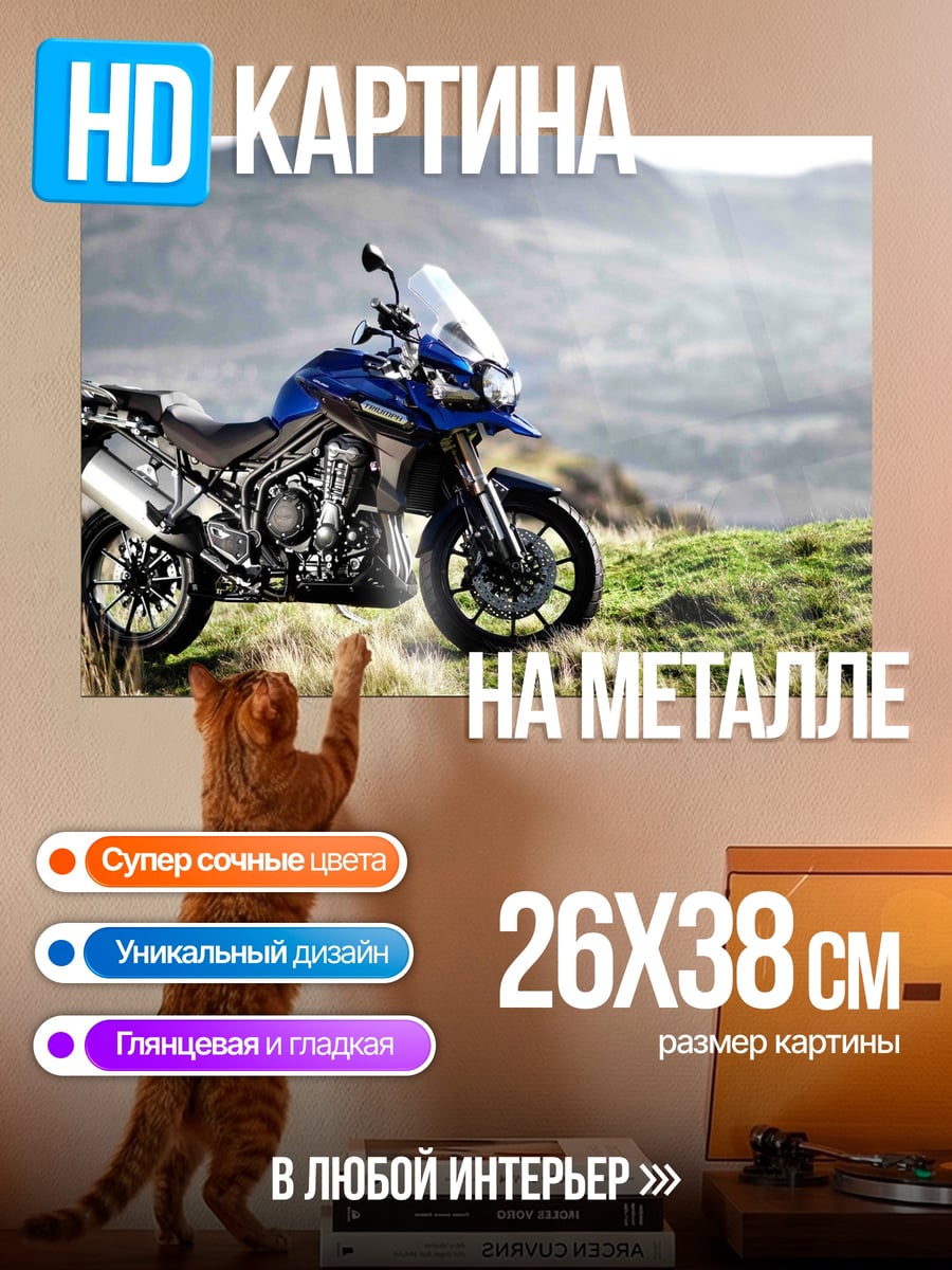 Картина на металле Мотоцикл в горах