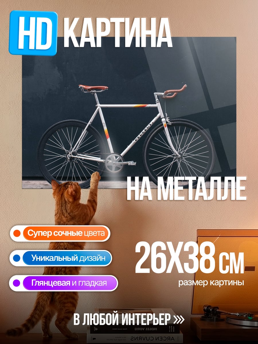 Картина на металле белый велосипед