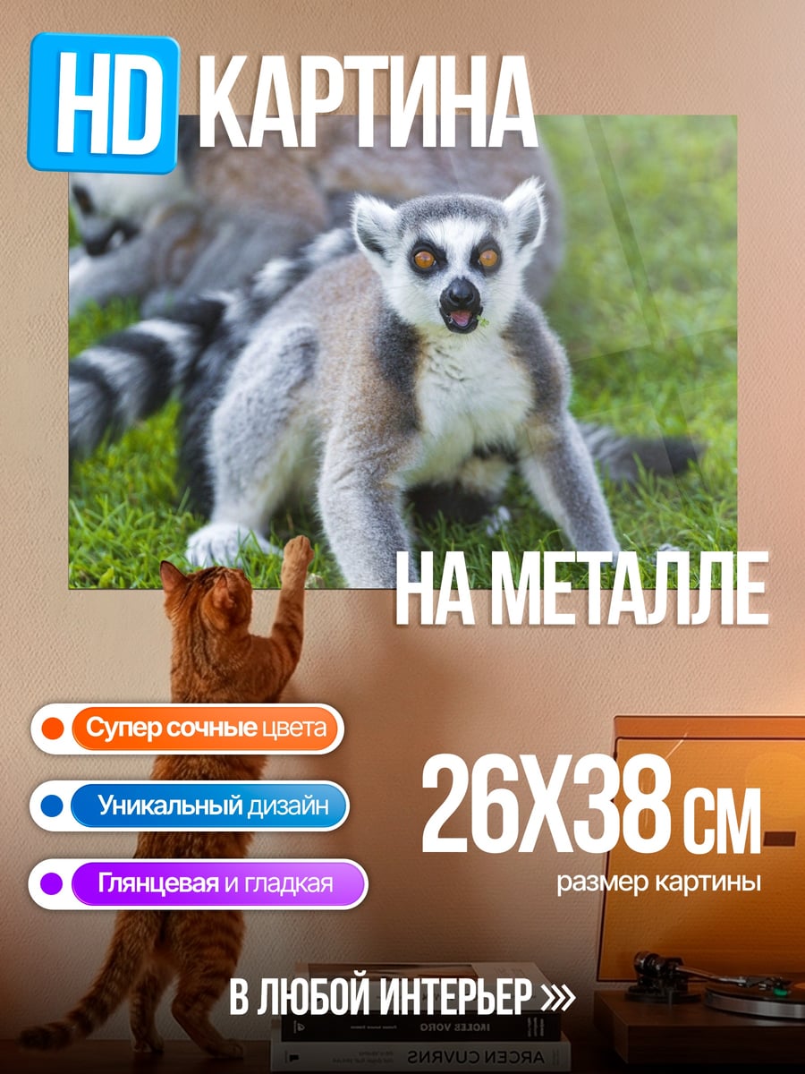 Картина на металле Лемур на траве