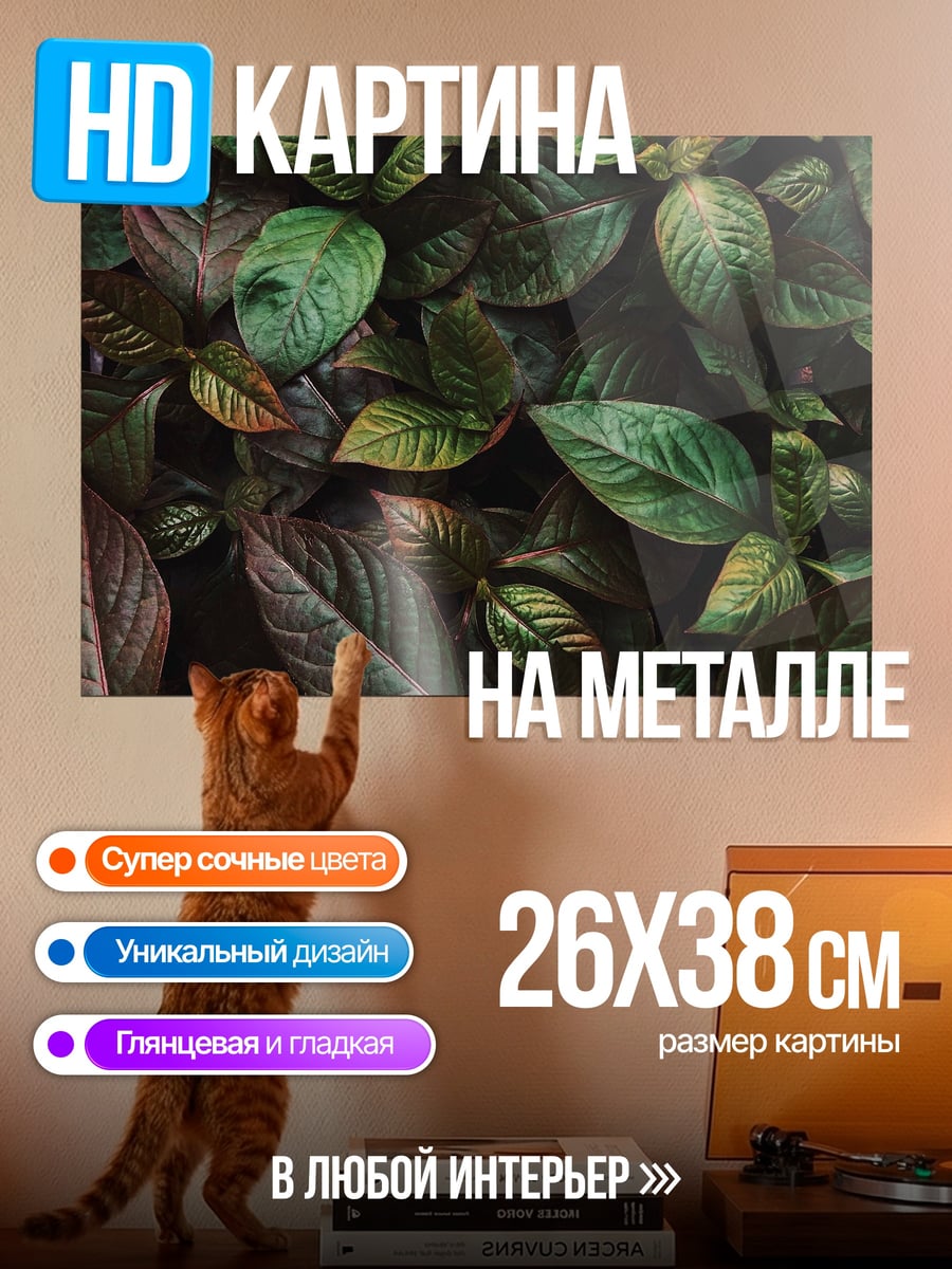 Картина на металле зеленые листья крупным планом