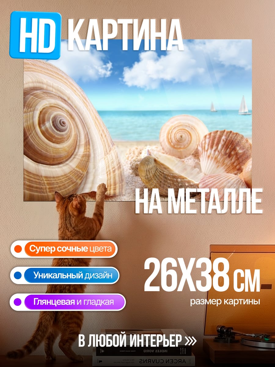 Картина на металле Ракушки на пляже