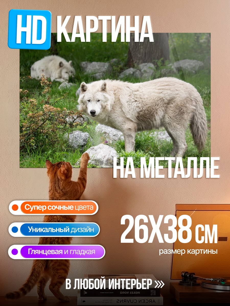 Картина на металле Белый волк в лесу