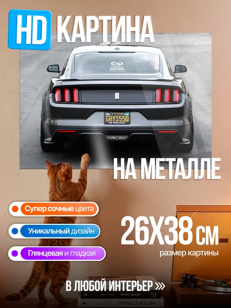 Картина на металле Ford Mustang задний вид