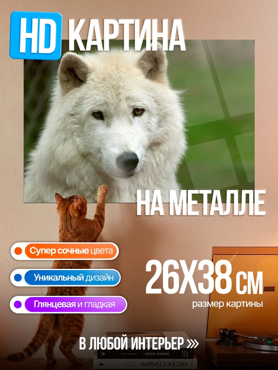 Картина на металле Белый волк