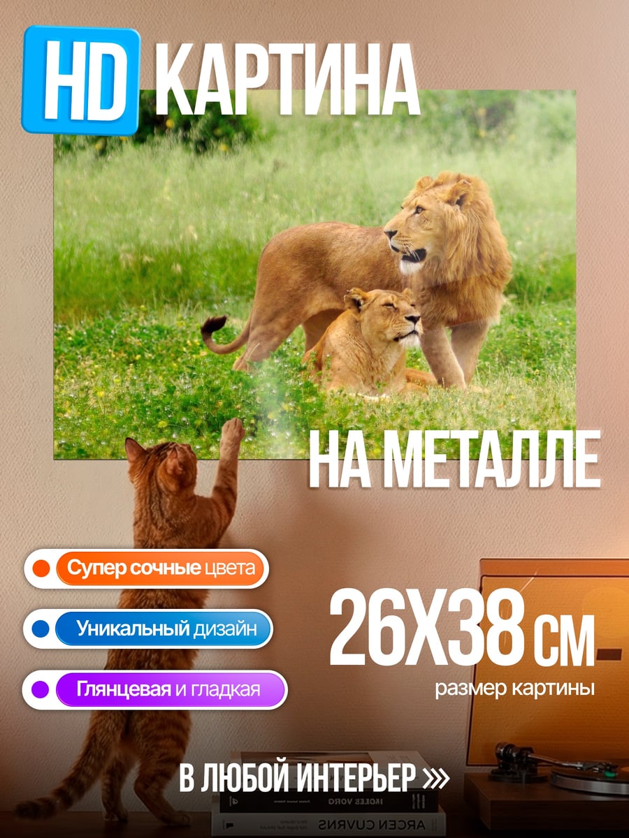 Картина на металле Львы в саванне