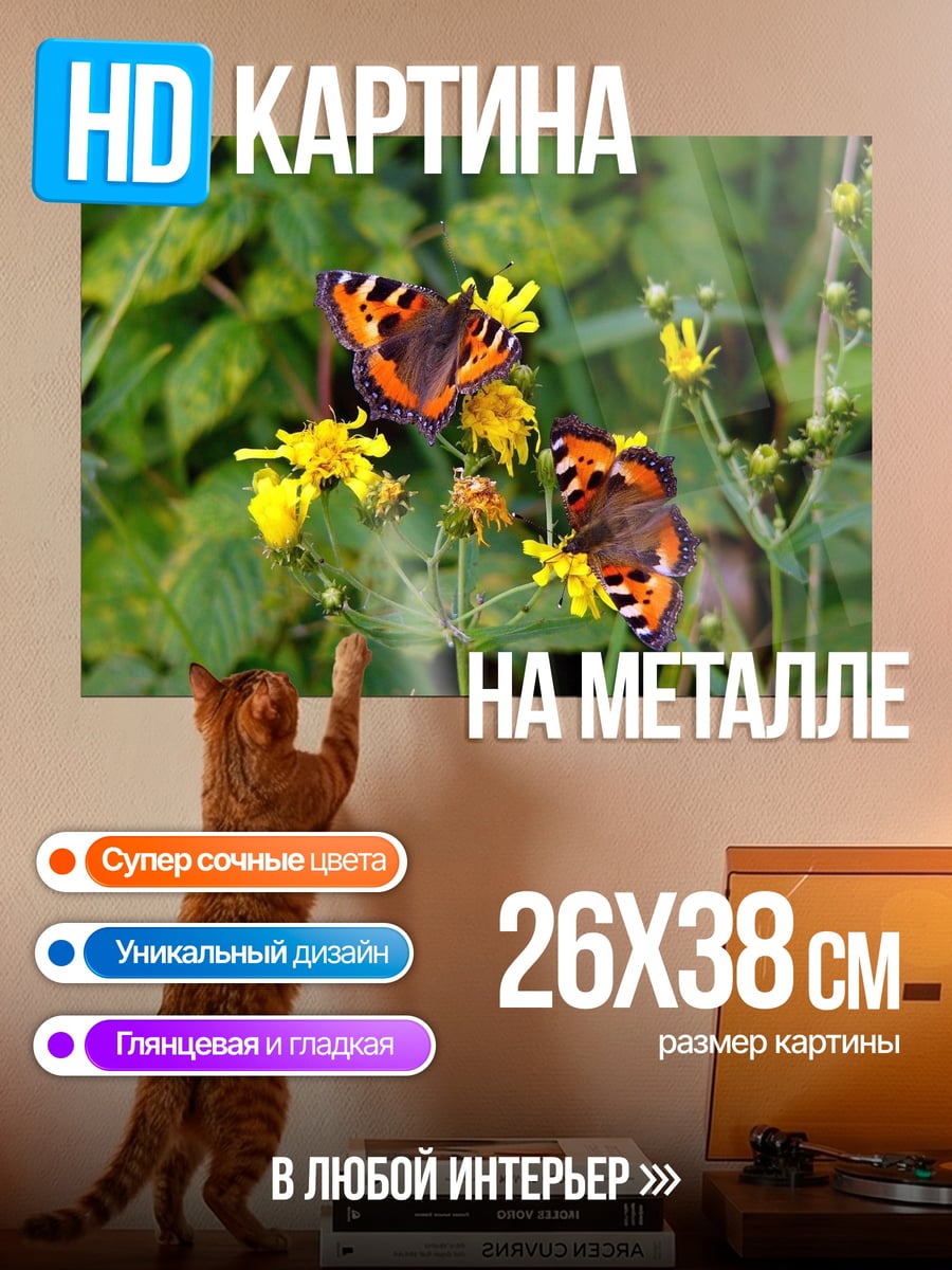 Картина на металле Две бабочки на цветах