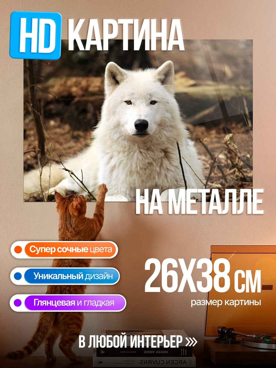 Картина на металле Белый волк в лесу
