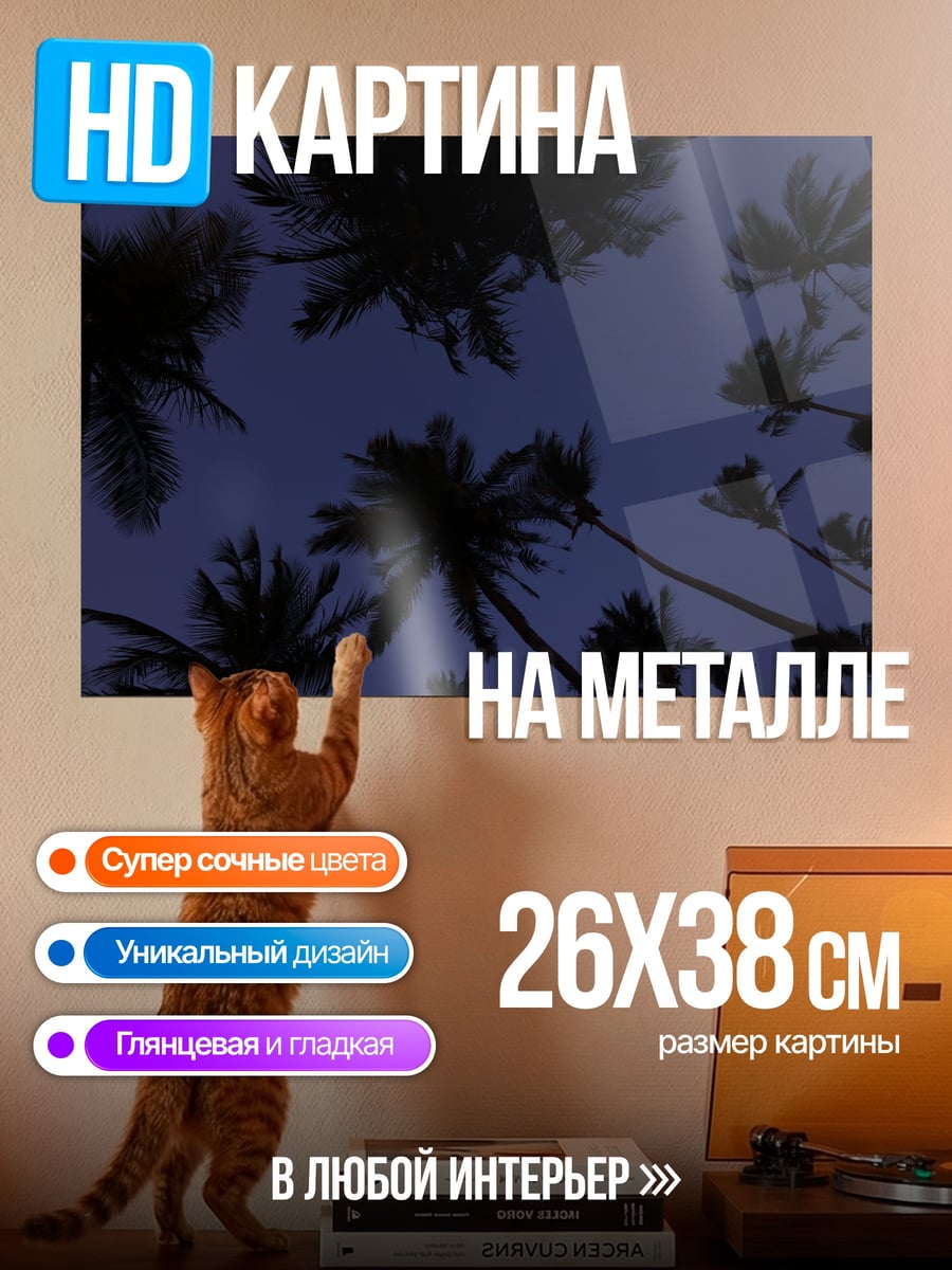Картина на металле ночное небо пальмы