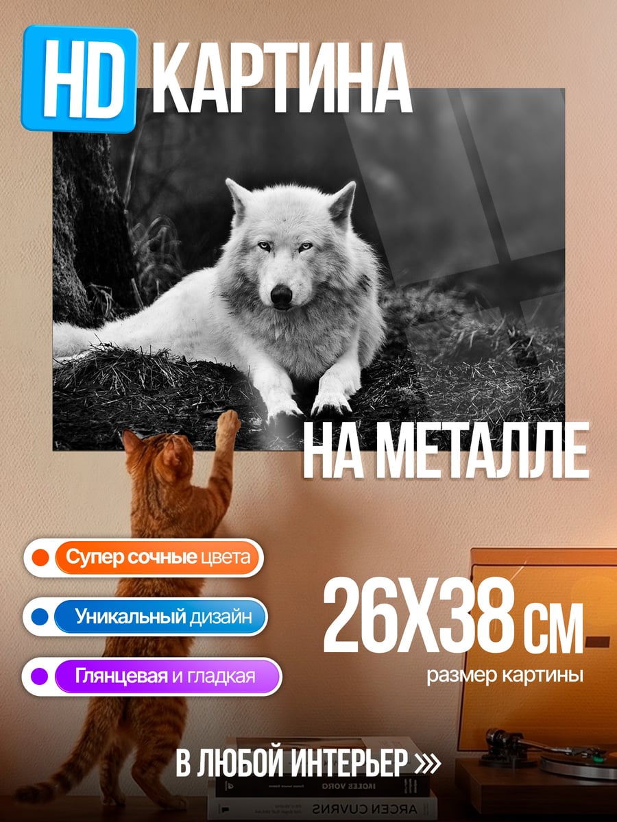 Картина на металле Белый волк лес