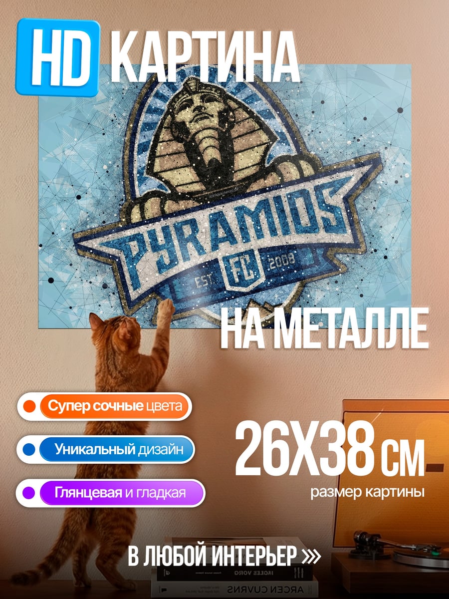 Картина на металле логотип Pyramids FC