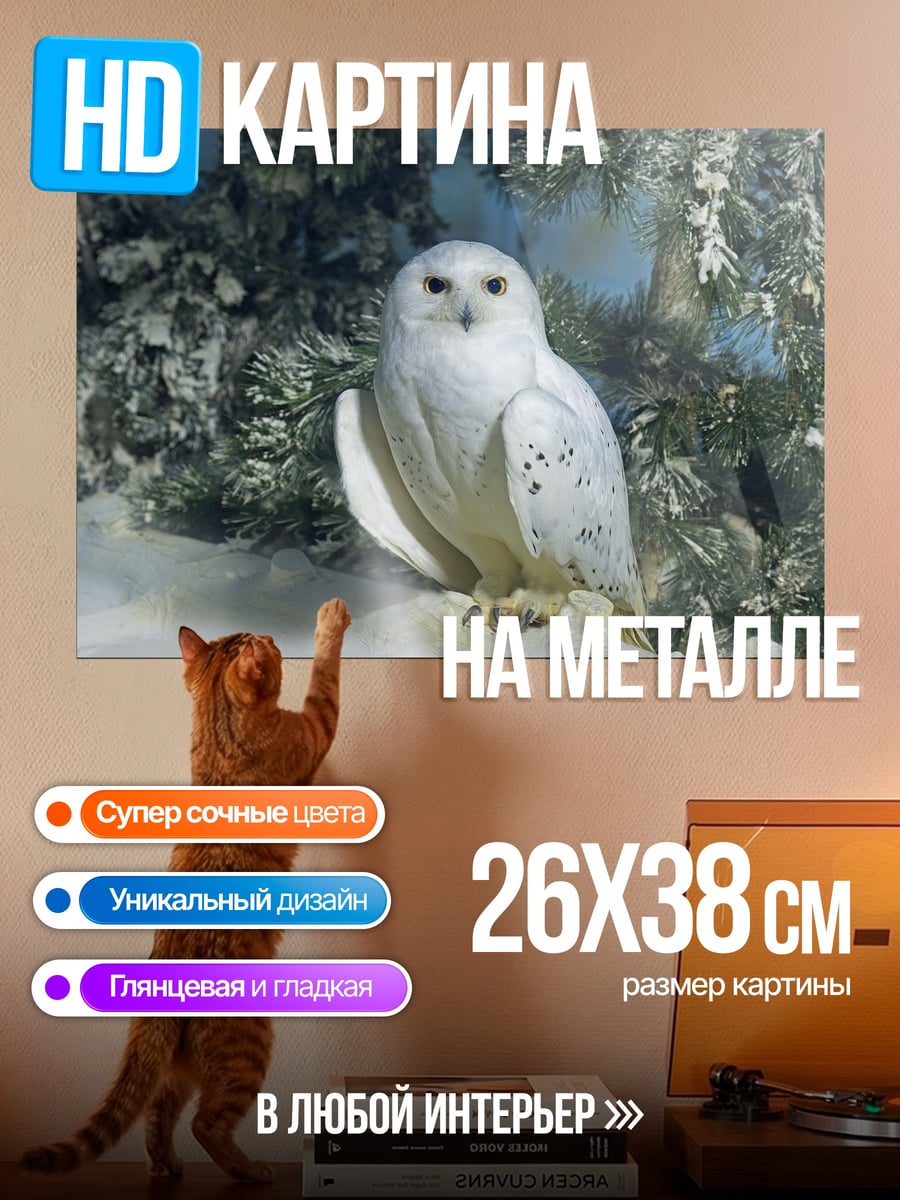 Картина на металле белая полярная сова