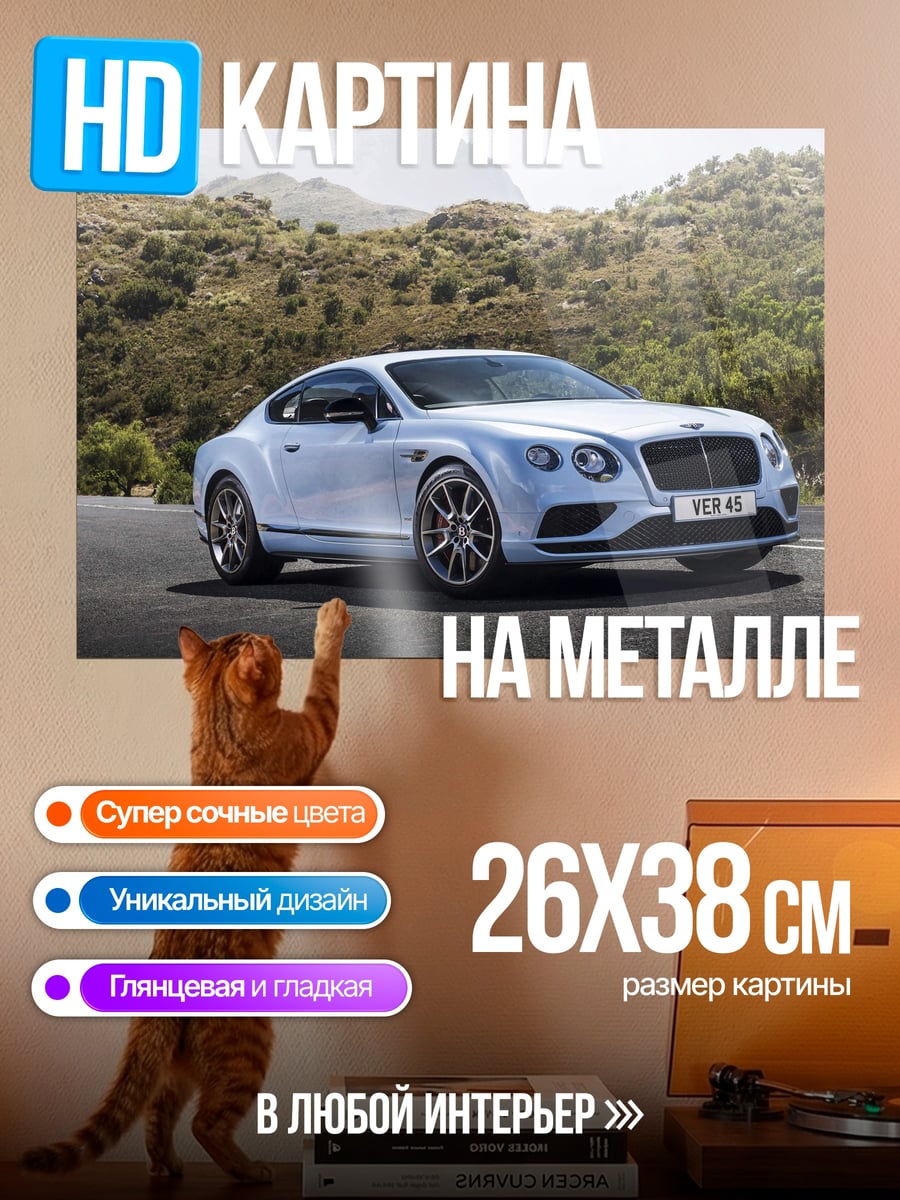 Картина на металле Белый Bentley