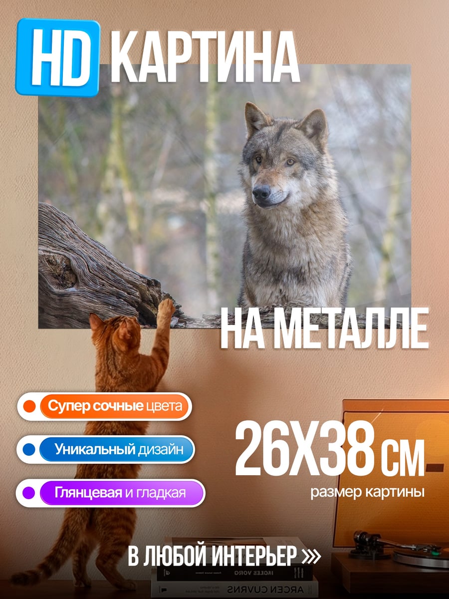 Картина на металле Лесной волк