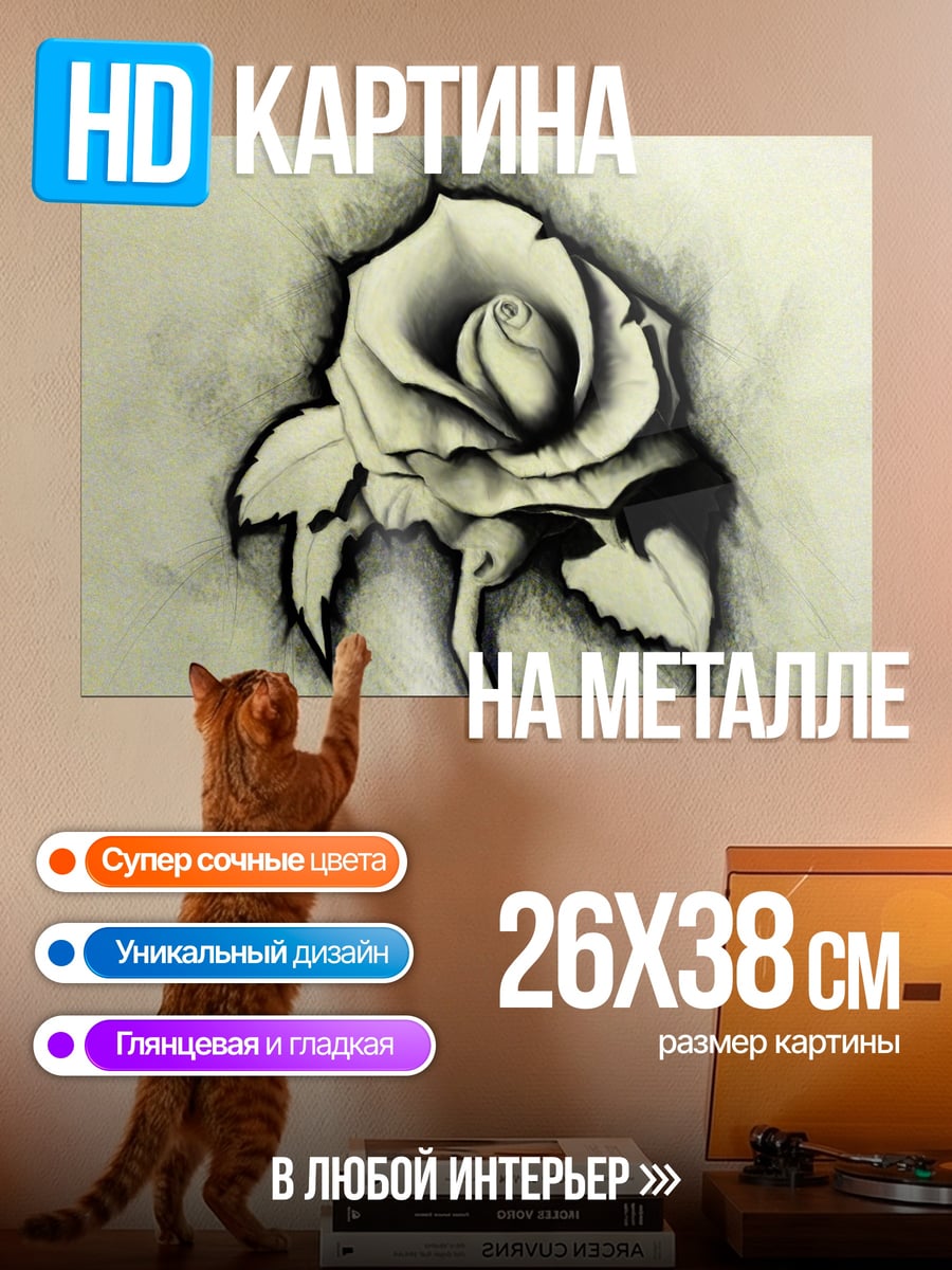 Картина на металле Черная роза
