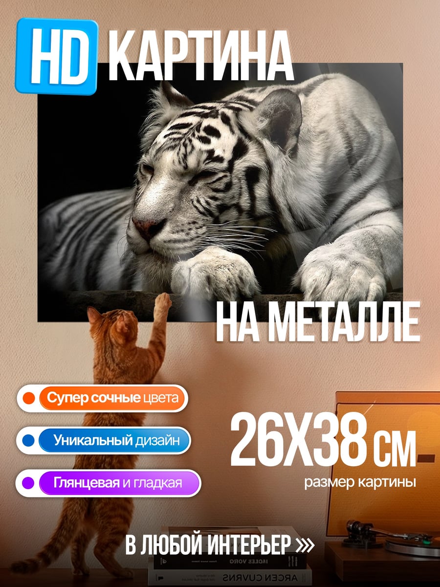Картина на металле Белый тигр лежит