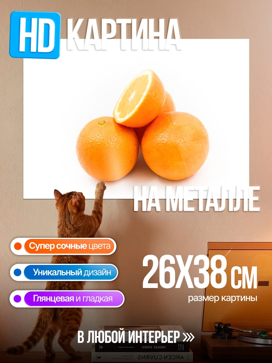 Картина на металле Апельсины на белом