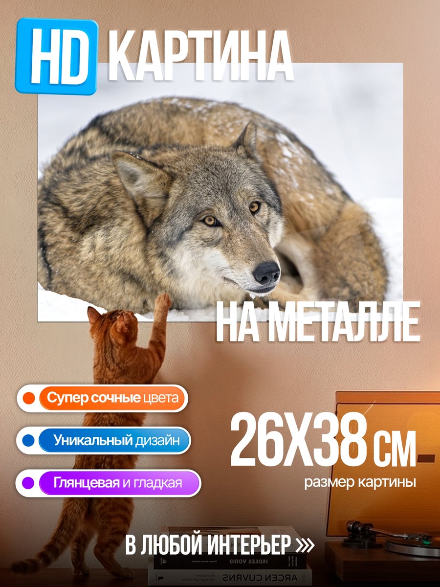Картина на металле Волк в снегу