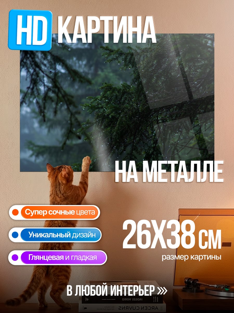 Картина на металле Туманный еловый лес