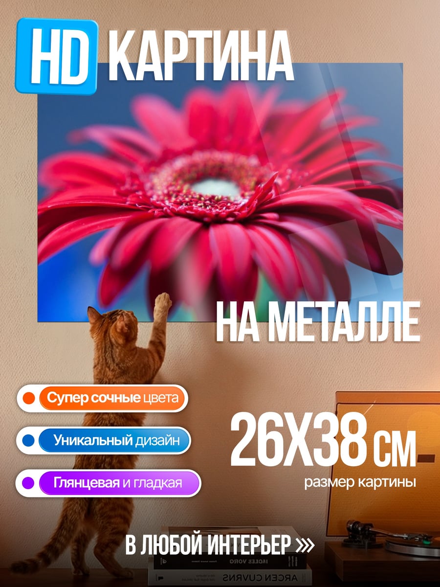 Картина на металле Красная гербера крупным планом
