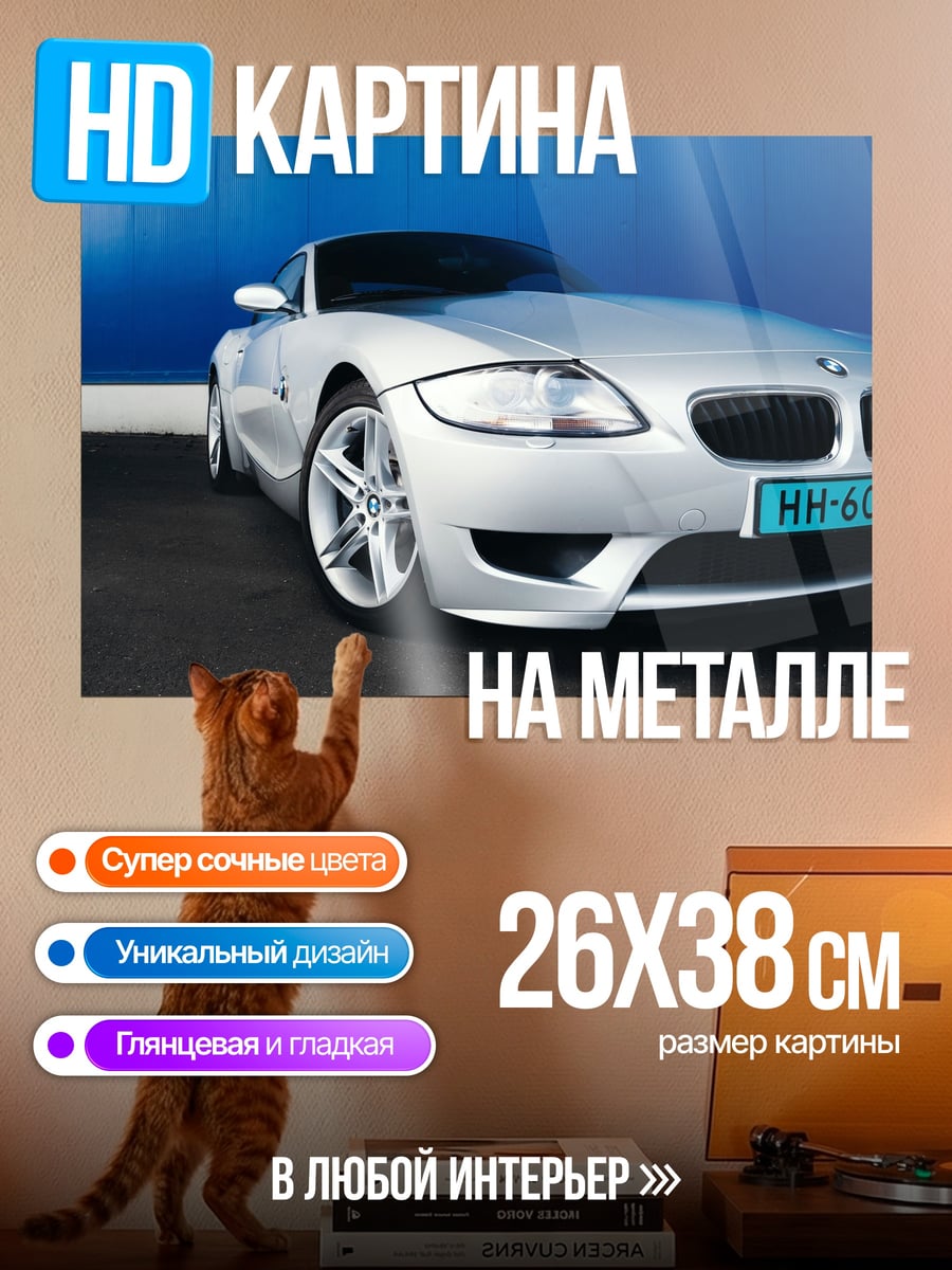 Картина на металле Серебристый BMW Z4