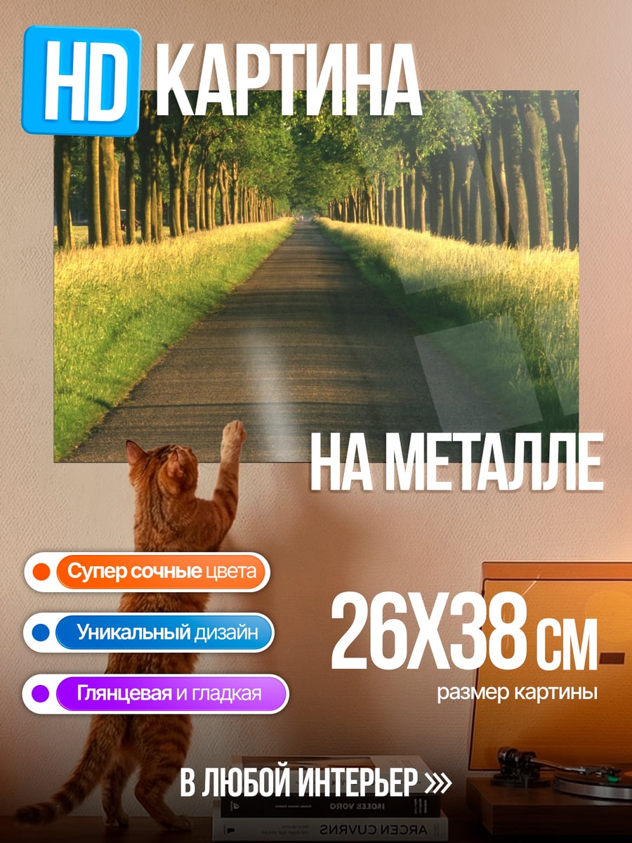Картина на металле Аллея деревьев