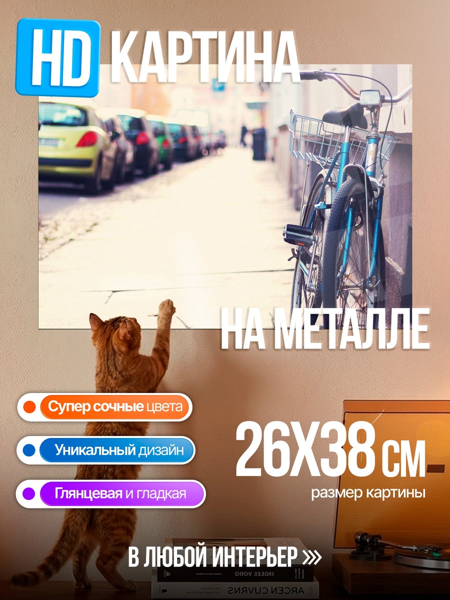 Картина на металле Велосипед на улице