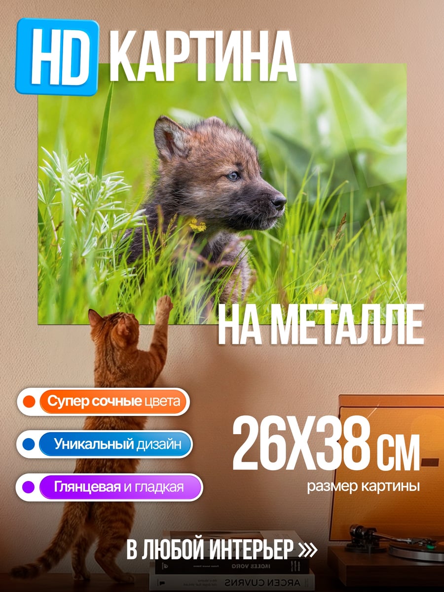 Картина на металле Волчонок в траве