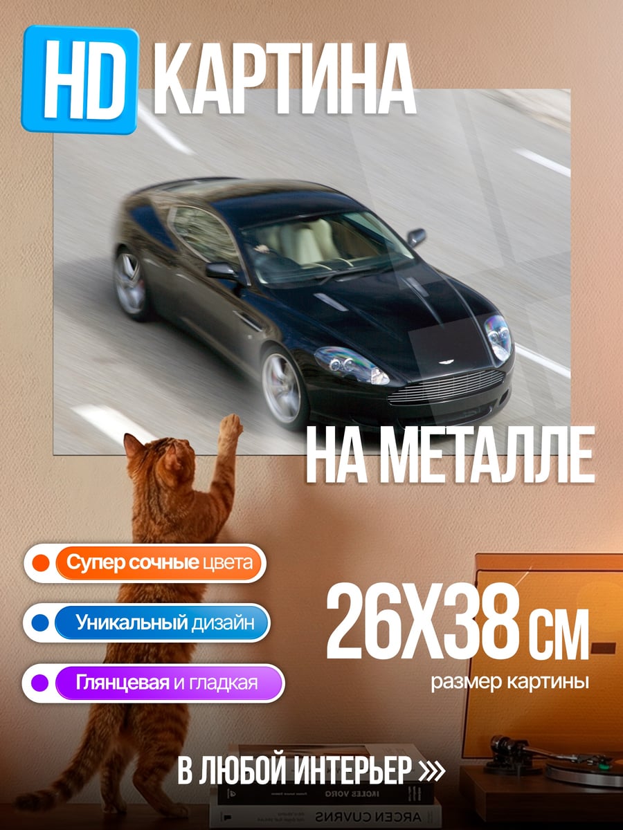 Картина на металле Чёрный спорткар