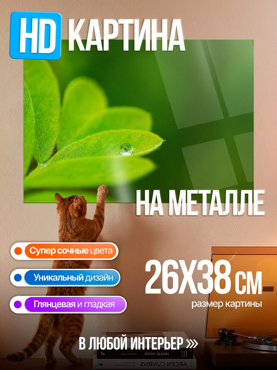 Картина на металле Зелёный лист с каплей