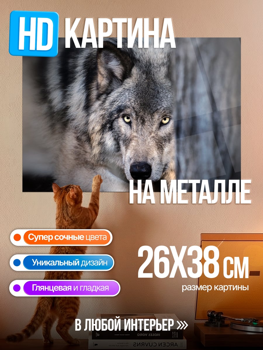 Картина на металле Волк смотрит