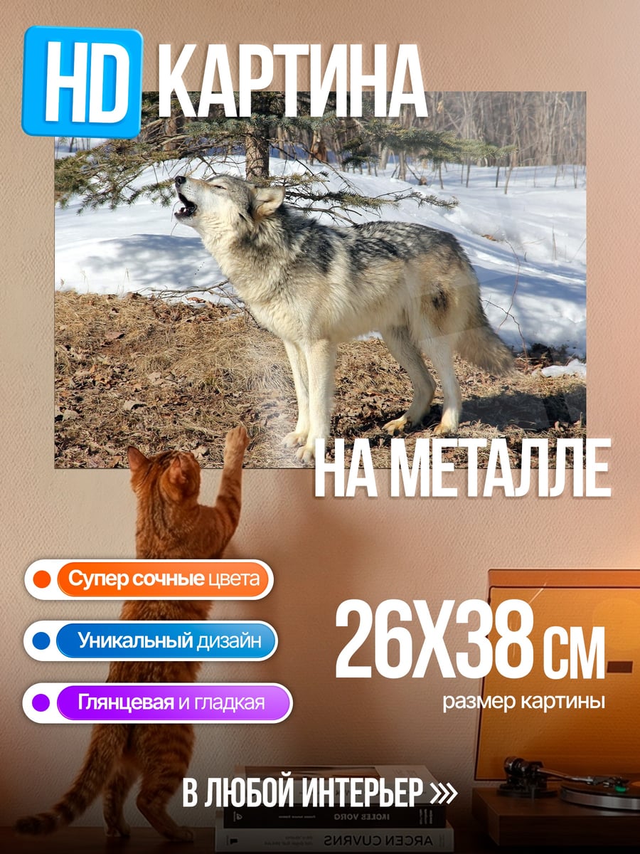 Картина на металле Воющий волк зимой