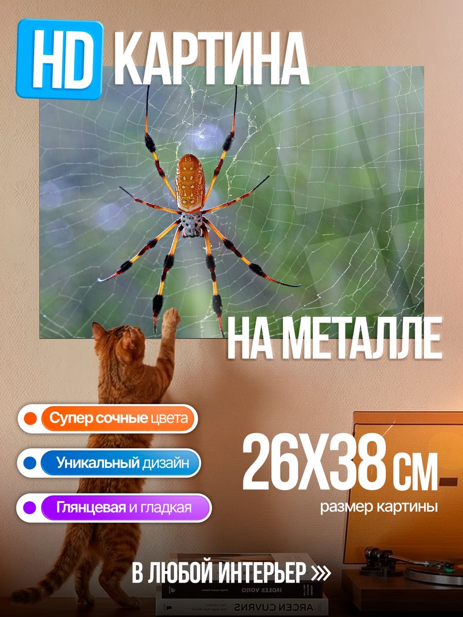 Картина на металле Паук на паутине