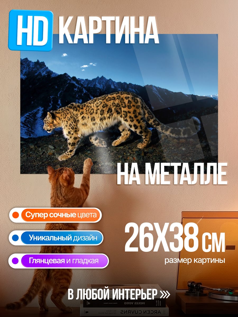 Картина на металле Снежный барс ночью