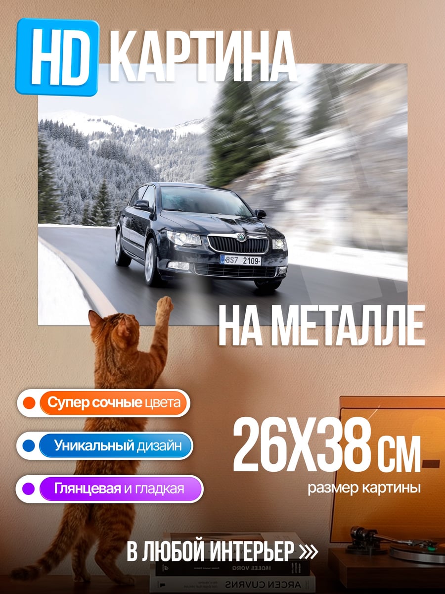 Картина на металле Черная машина в снегу