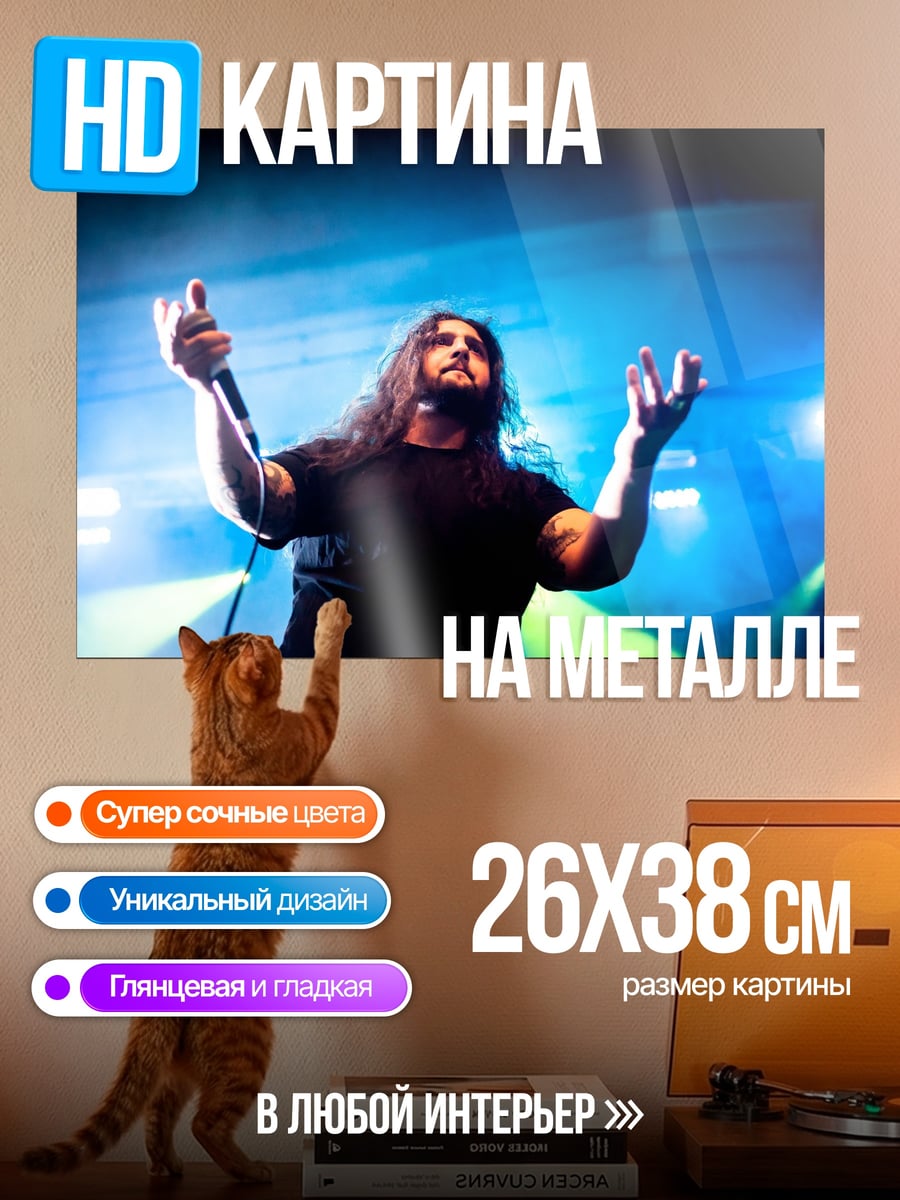 Картина на металле Металлический вокалист