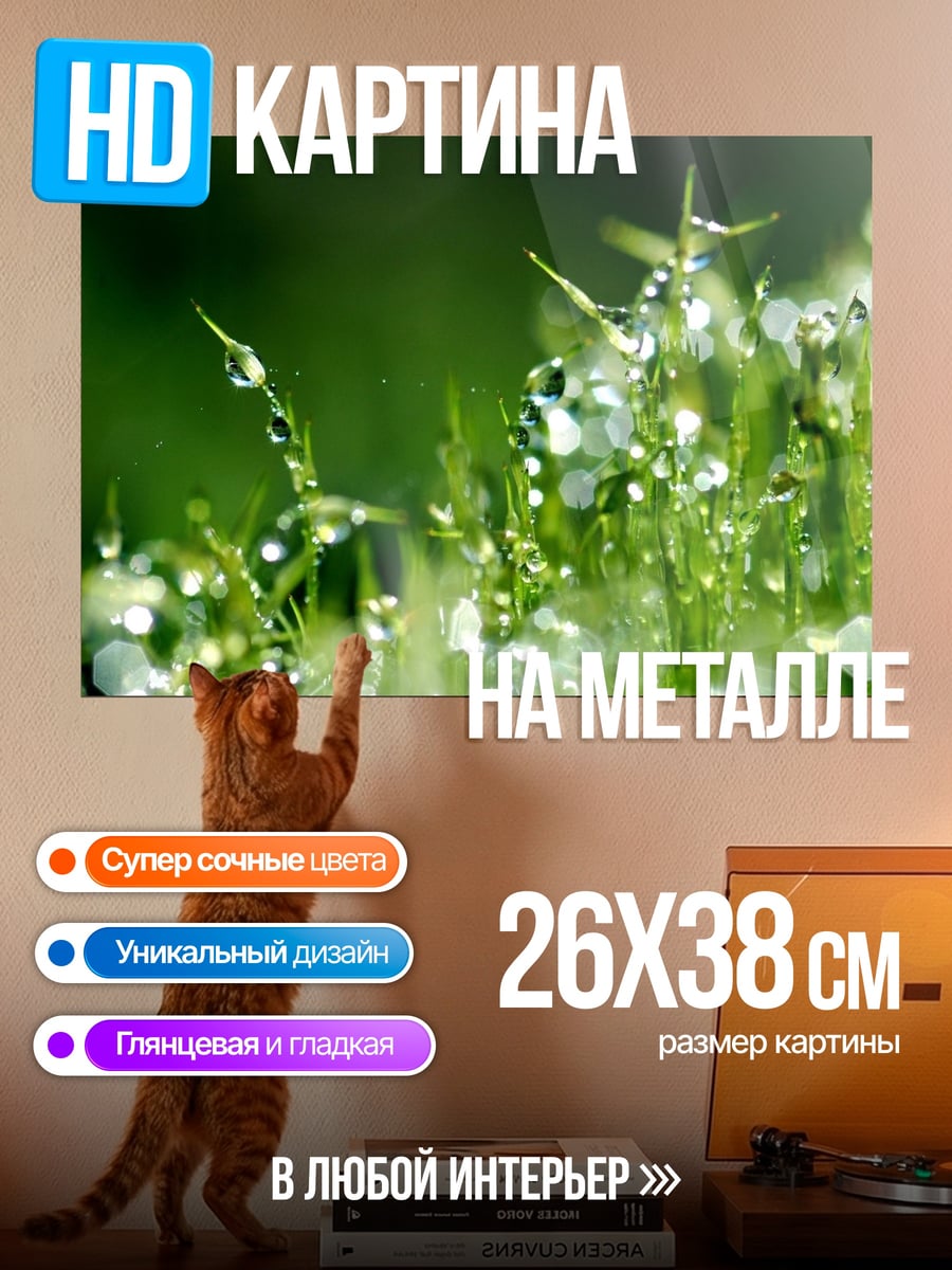 Картина на металле Капли росы трава